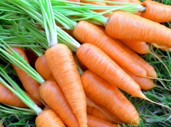 carrot and carrot oil for skin renewal